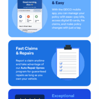 Geico - Informational